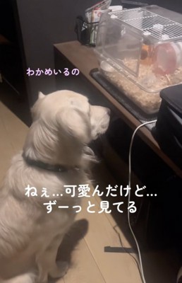 近くに来た！
