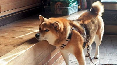 お約束