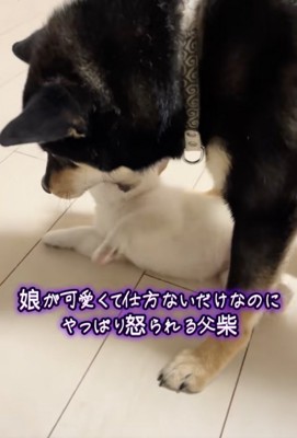愛情大炸裂