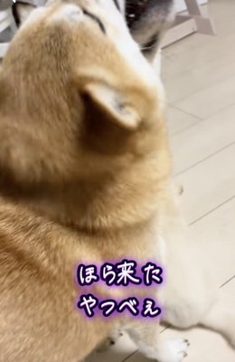 母は強し