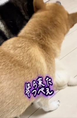 お母さん襲来