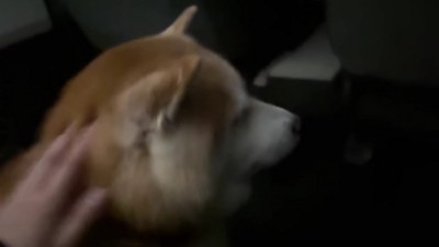 サプライズは大成功!!