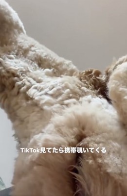 謎のアングル