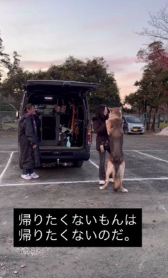 直前でブレーキ！！