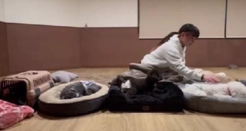 楽しくて眠れない！？
