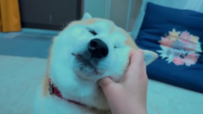 幸せいっぱいな表情に♡