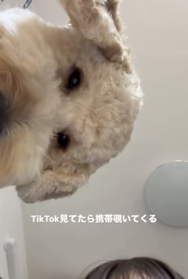 ぬっ
