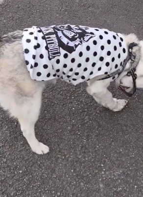 「堅さはどうかな？」