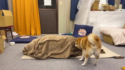 「やっぱりお姉ちゃんだ!!」