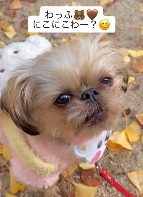 再度問いかけるママ