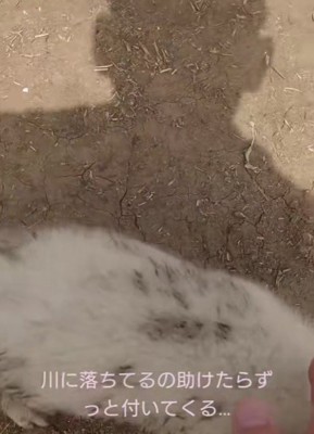 どこまでも着いてくる…