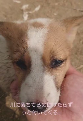 ある決断をした