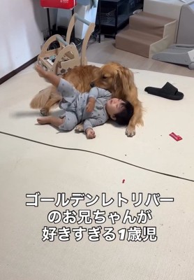 ピノくんに転がる息子さん