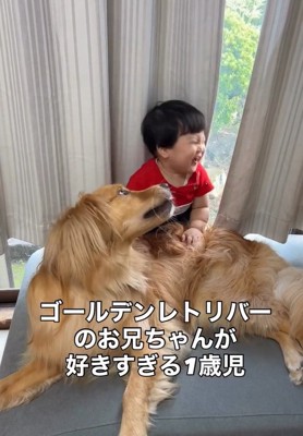 優しく見守るピノくん