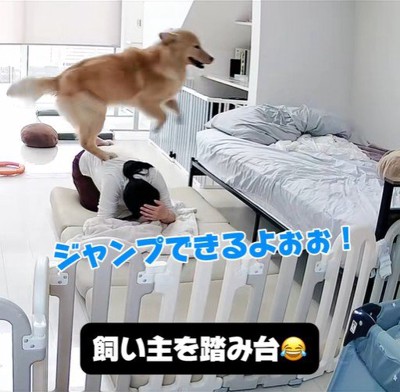 子育て中の家族とこてつ君の日常5