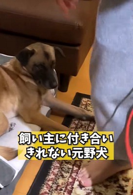 パパが熱唱している時のアキちゃん2