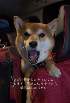 はなまる君の猛抗議5