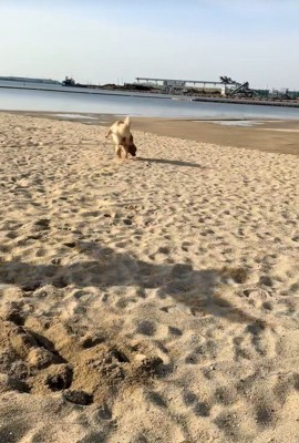 海辺でのハプニング3