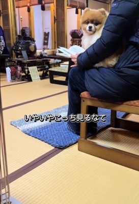 ちょっちゃんの年越し7