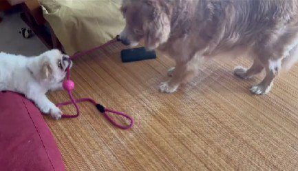 「ちょっと！！」