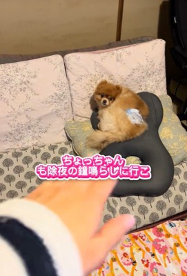 ちょっちゃんの年越し