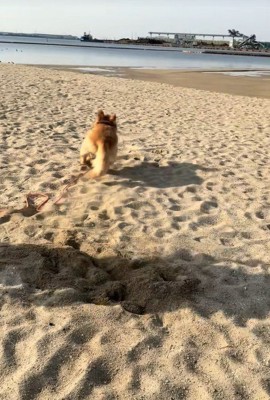 海辺でのハプニング2