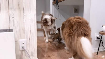 たまちゃんにベッタリ…♡