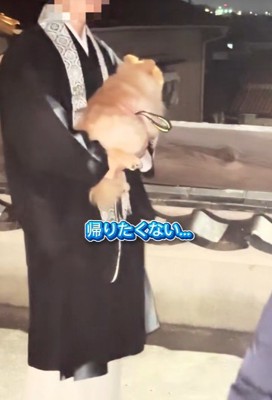 ちょっちゃんの年越し4