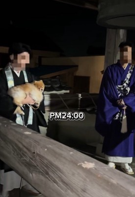 ちょっちゃんの年越し5