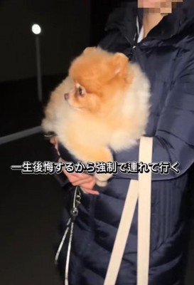 ちょっちゃんの年越し2