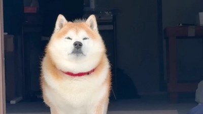 雪見で冬を満喫♡