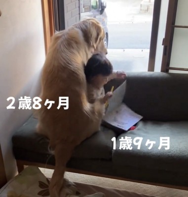 尻もちをつく赤ちゃん