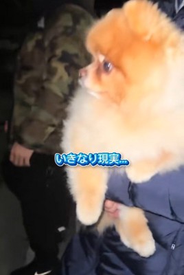 ちょっちゃんの年越し8