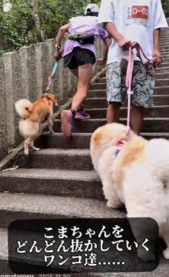 どんどん抜かされる…