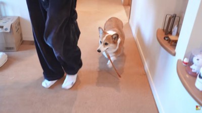 どっちも手に入れればOK♪