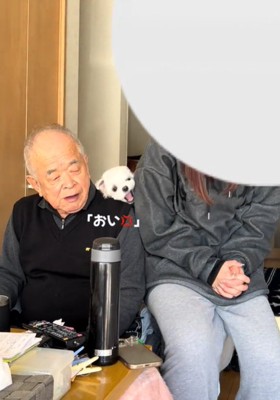 追いやられる犬