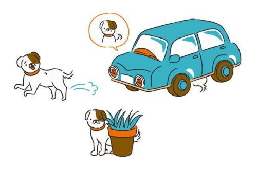 犬の脱走のイラスト