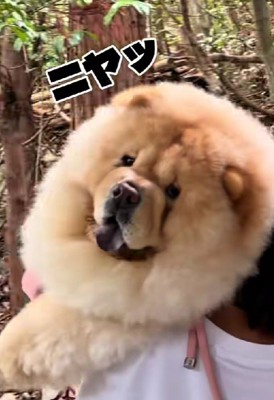 ニヤリと不敵な笑み