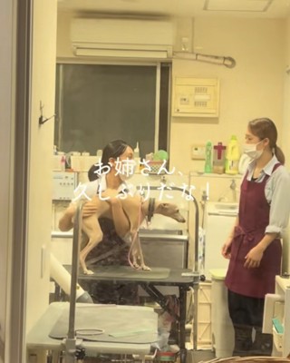 赤エプロン茶髪お姉さんの方を見る犬