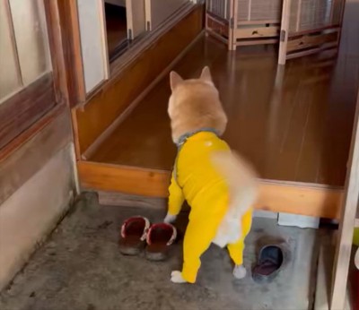 おばあちゃん