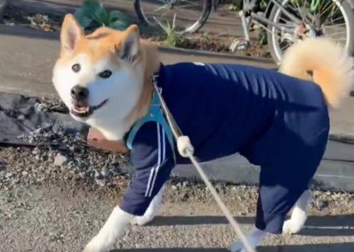 ニコニコ