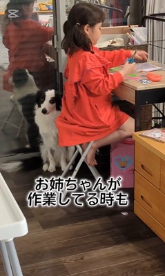 作業中のお姉ちゃんとアグちゃん
