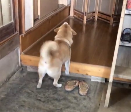 大好き