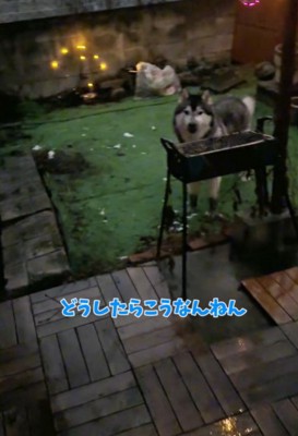 怒られても…