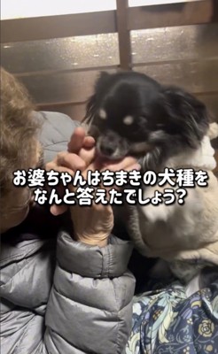ペロペロ