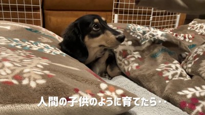 人間の子どものように育てたら…