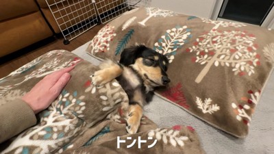 そろそろ夢の中かな?