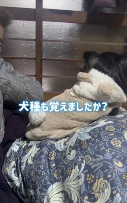 続いての質問