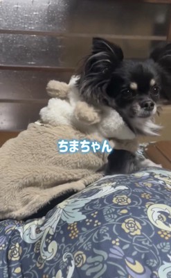 「なぁに？」