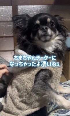 キリッ